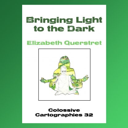 Bringing Light to the Dark by Elizabeth Querstret